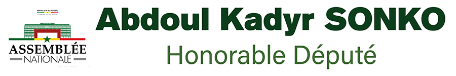 Abdoul K. SONKO
